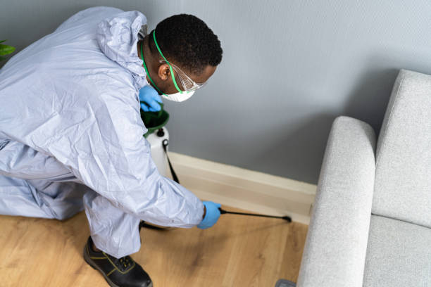 Professional Pest control in Independence, LA